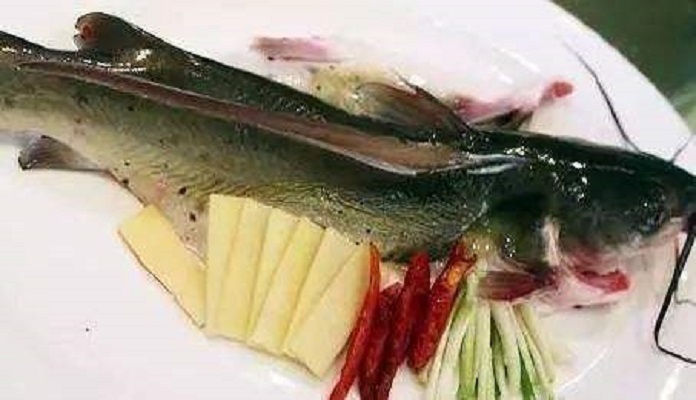 凤台淮王鱼
