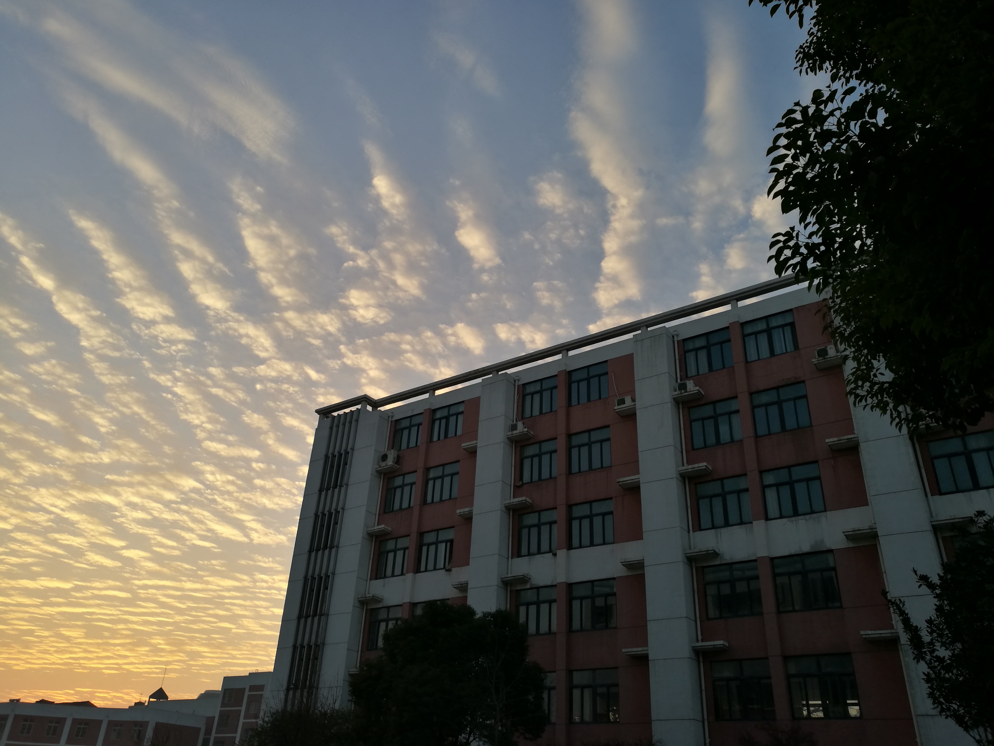  p>丹阳市云阳学校于2009年7月成立.