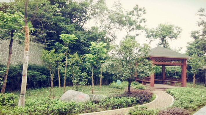 重庆市沙坪坝新桥小学