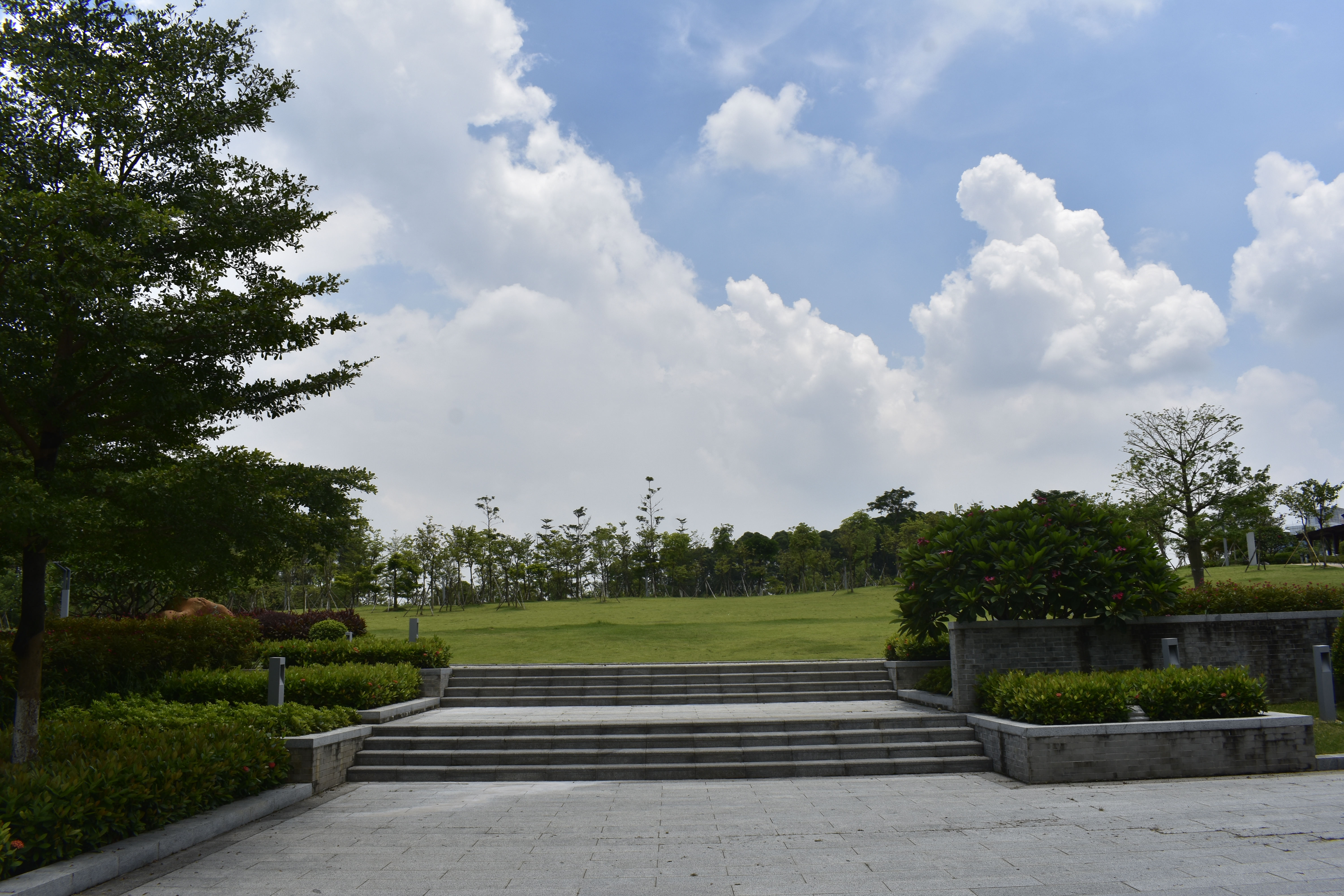  p>广州大学城中心湖公园位于小谷围岛中央部位,向东以河道的方式穿过