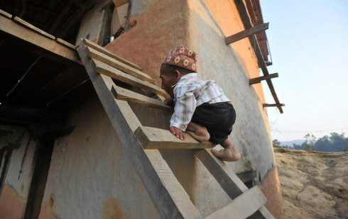 chandra bahadur dangi