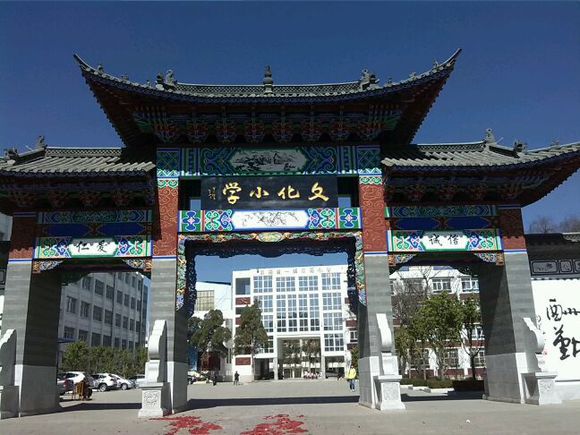 陆良县中枢镇文化小学