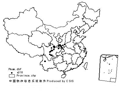 ="#">鼩鼹属的动物,1871年由英国人milne