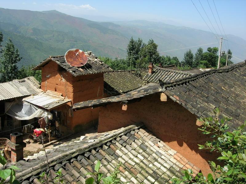  p data-id="gn7bv6osqe">一丛树村隶属于金源乡安秧村委会行政村