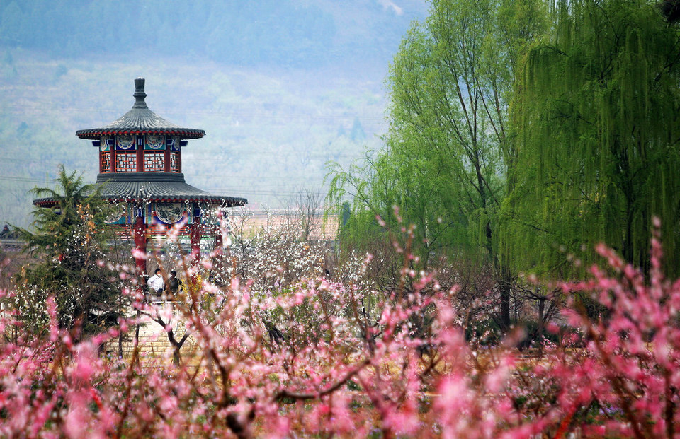 桃花深处