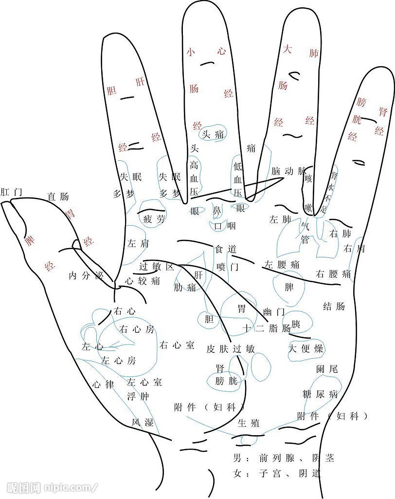  p>手纹又名掌线,掌屈纹等,是指手掌的纹路. /p>