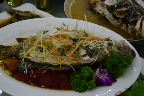  p>松花湖鱼宴, 清蒸松花湖白鱼,是吉林名菜之一.