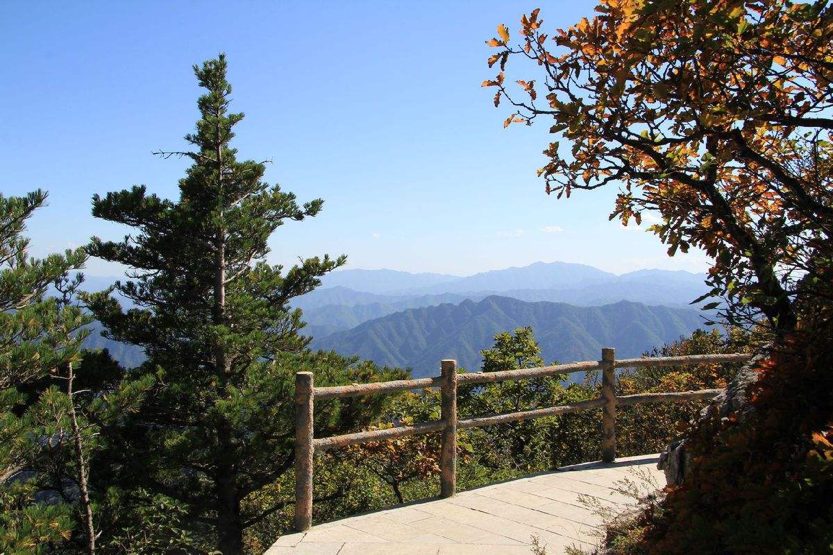 牛背梁森林公园