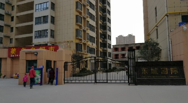 东城国际