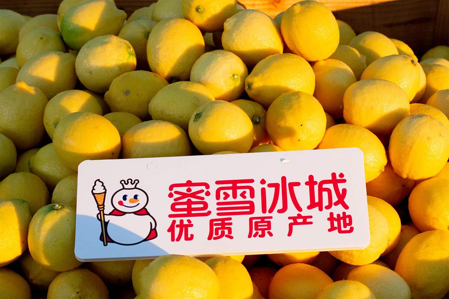 蜜雪冰城优选安岳柠檬