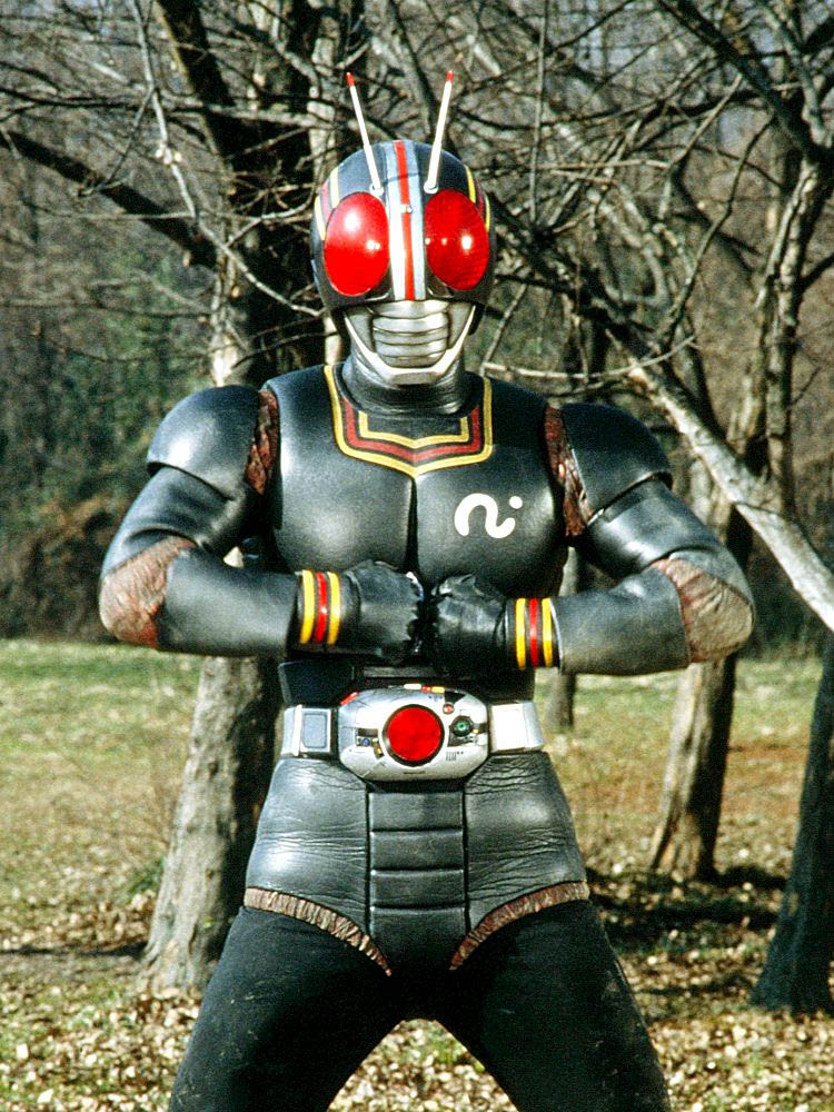 帝王石,是日本特摄剧《 a target="_blank" href="/item/假面骑士