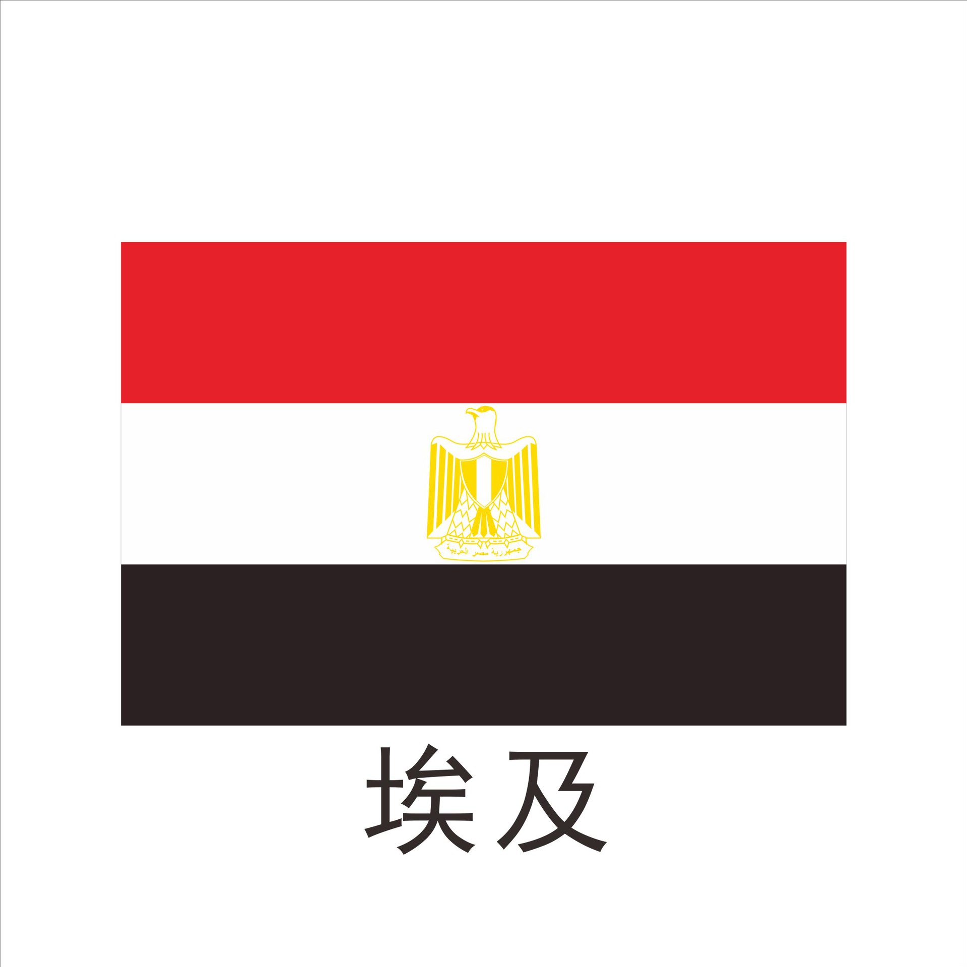 2020年东京残奥会埃及体育代表团