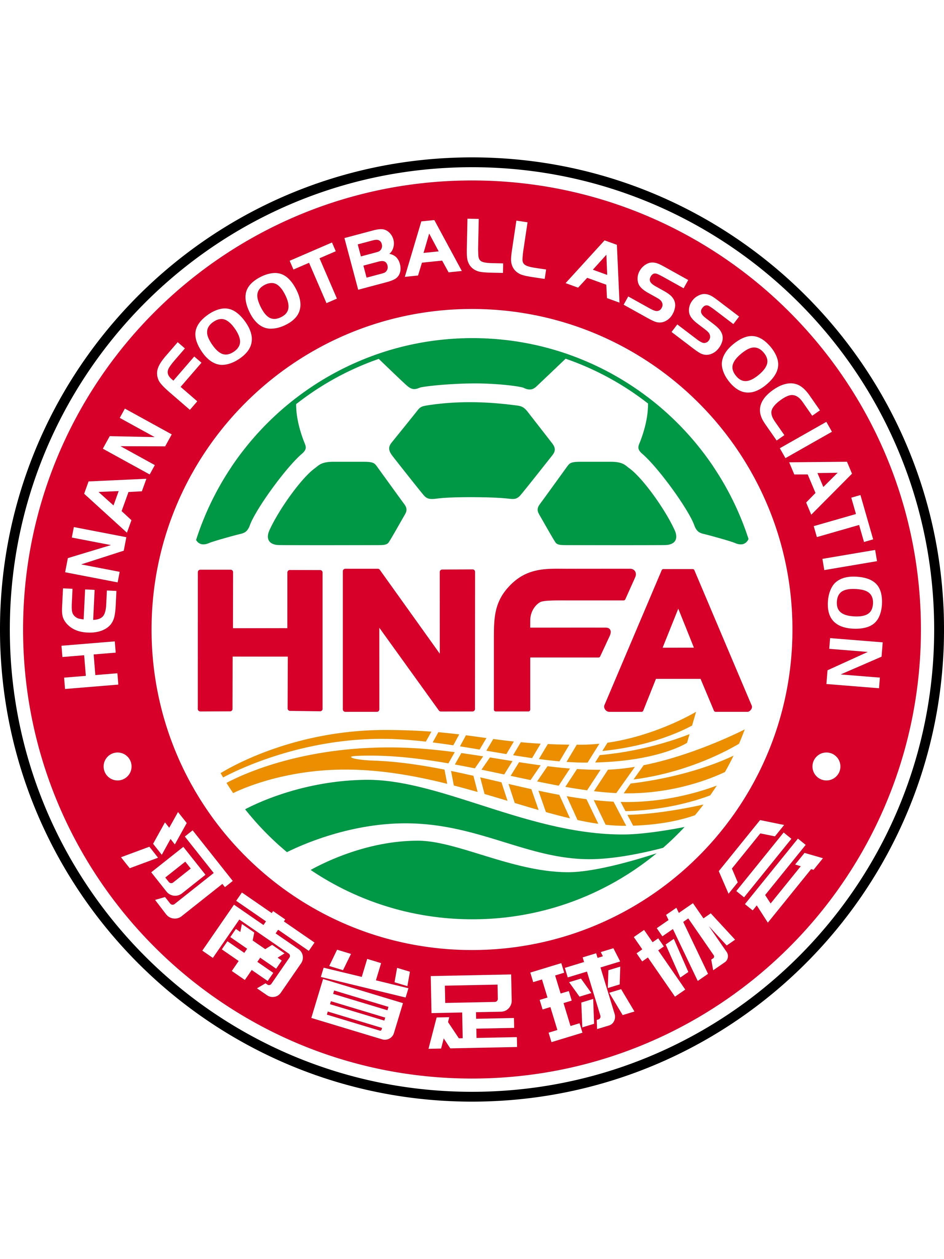 河南省足球协会