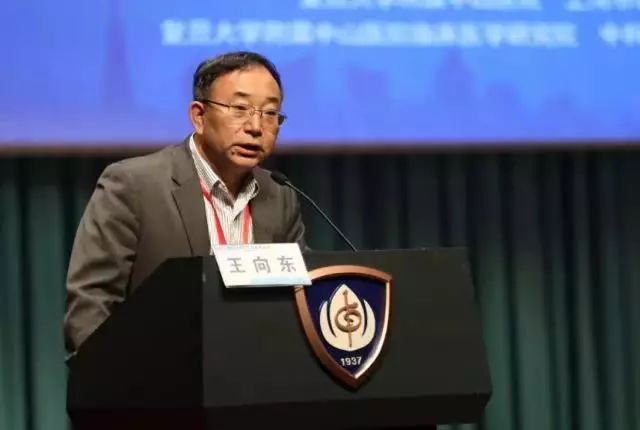 王向东