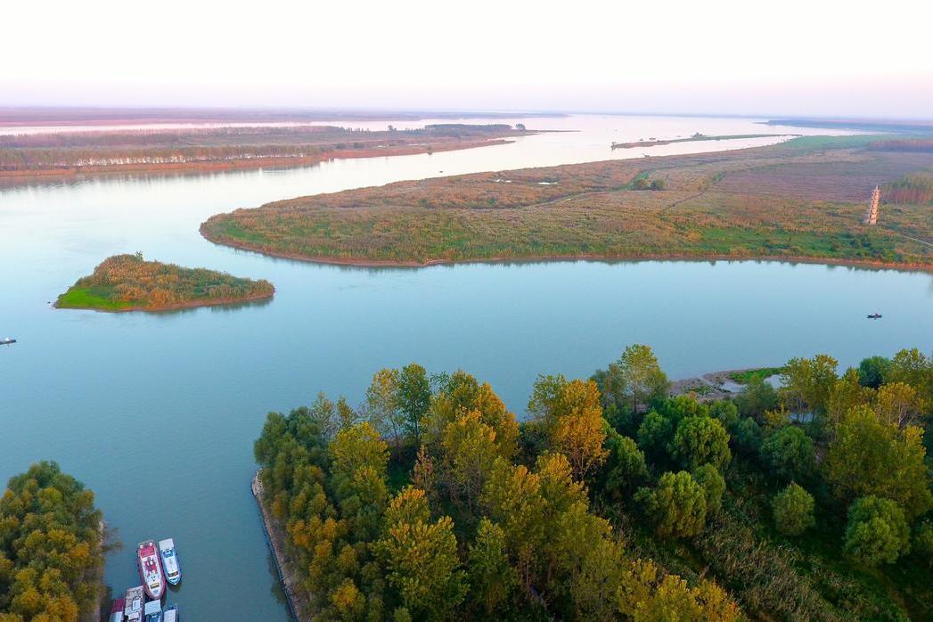 湖南汉寿西洞庭湖省级自然保护区