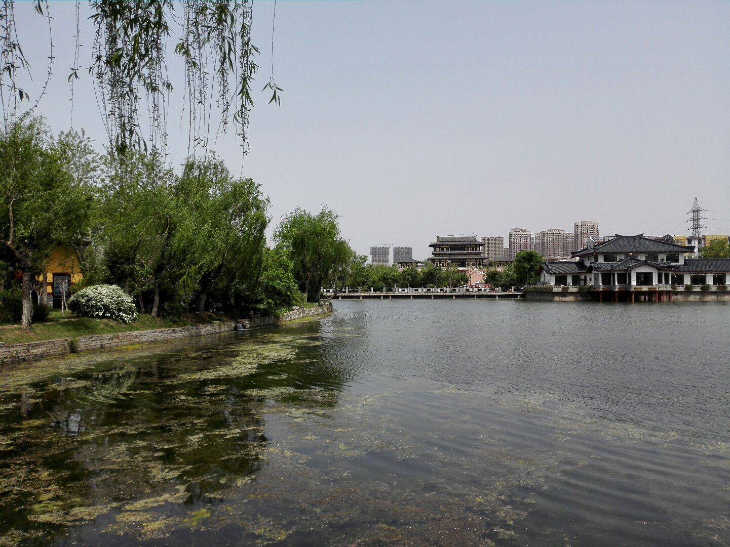 徐州沛县网站包年优化 全网资源
