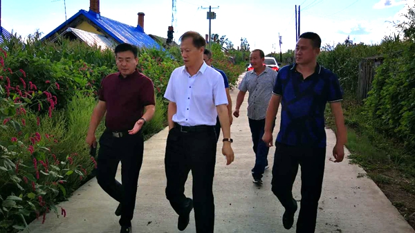 新发镇