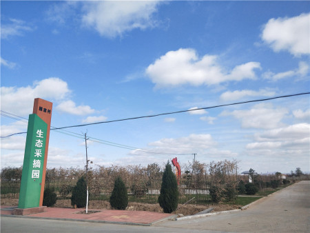  p data-id="gnwk84kvom">土山镇,隶属于山东省烟台市莱州市,地处 a