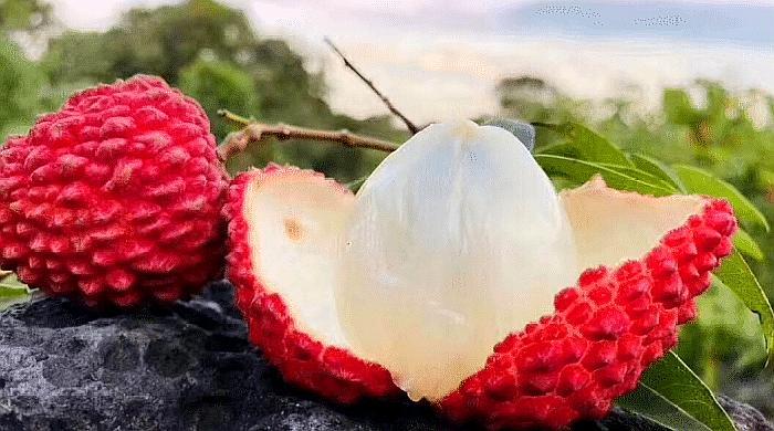 买荔枝时，记住这几种买，个个核小肉多，甘甜多汁，学会记得收藏_百科TA说