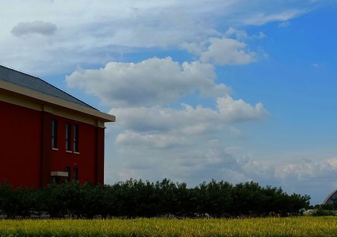  p>南开大学滨海学院(nankai university,binhai ),南开大学滨海学院