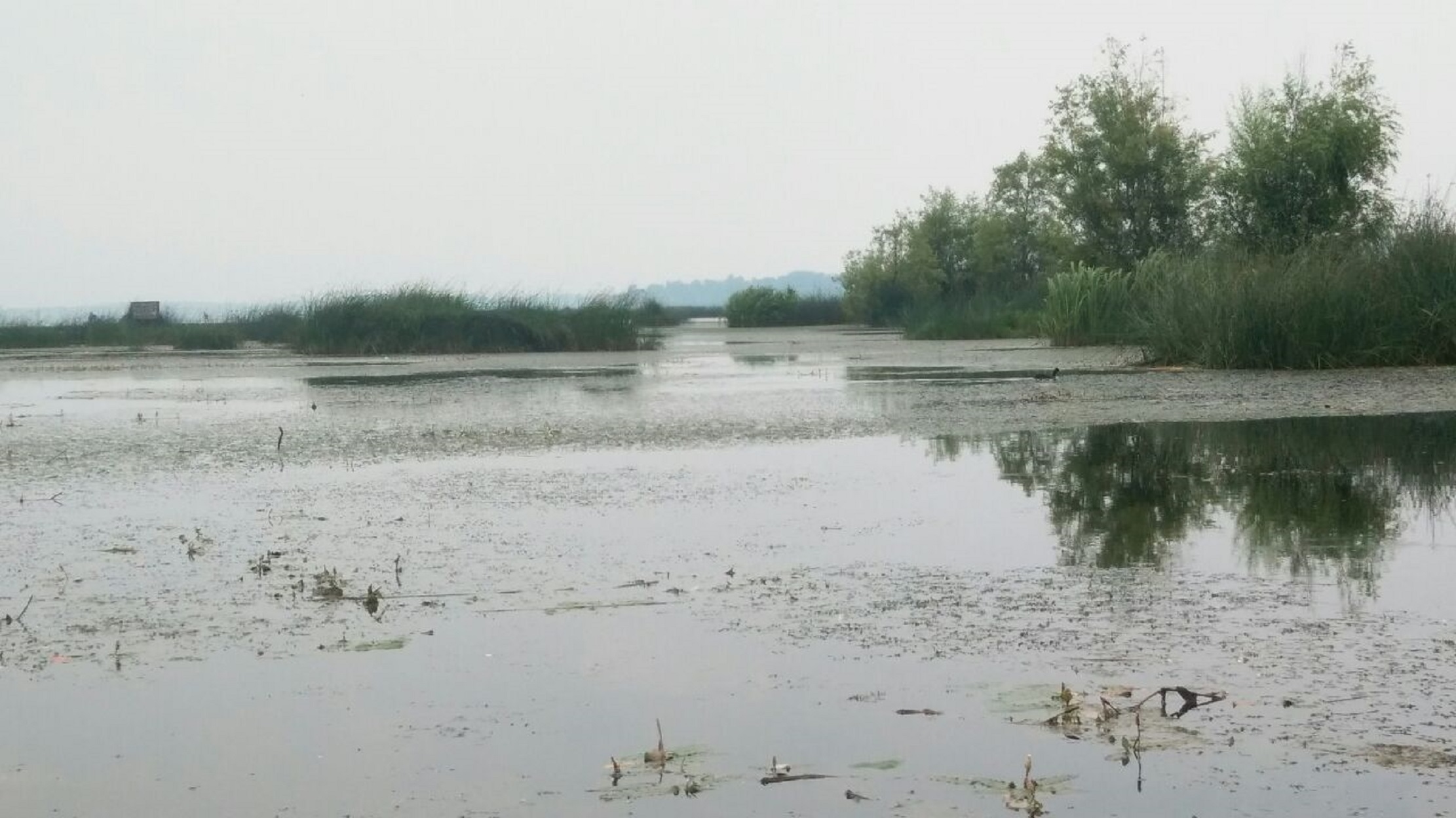 草海,又名南海子,八仙海,长江上游<a target="