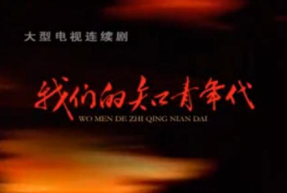  p>电视剧《我们的知青年代》是李源执导,符馨尹,许亚军等主演的电视