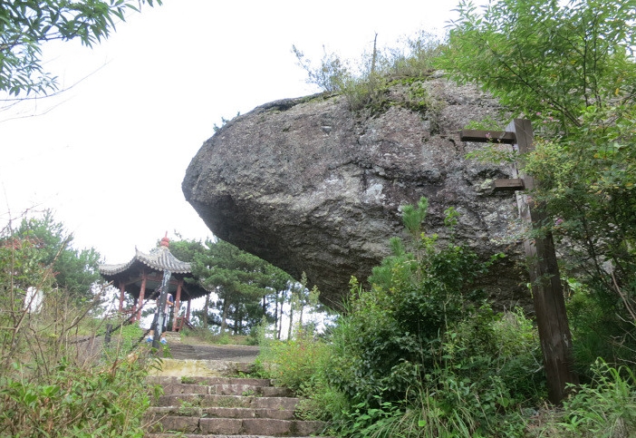 浙江永嘉四海山森林公园