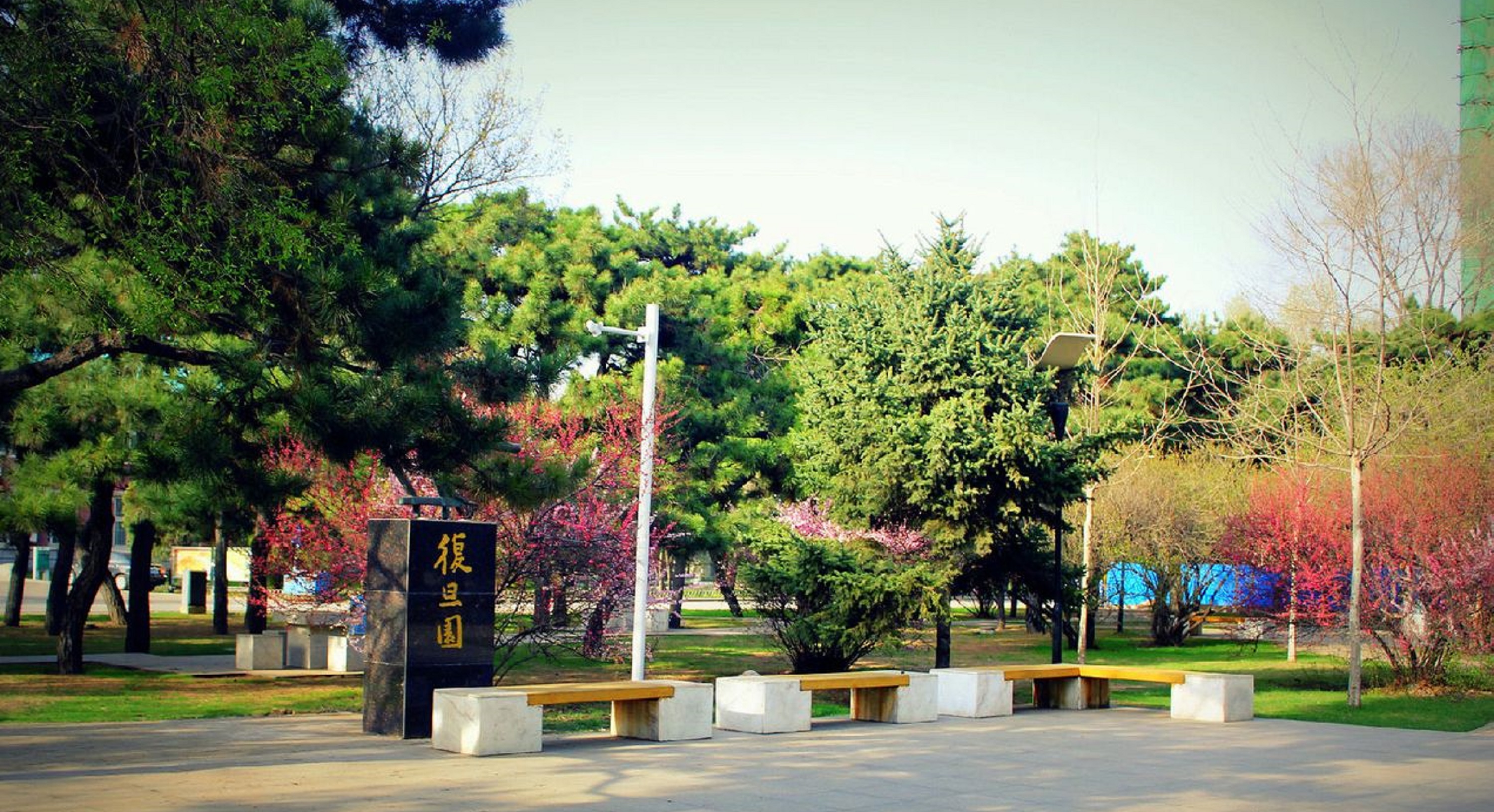 沈阳农业大学(shenyang agricultural university)简称沈农或沈阳农大