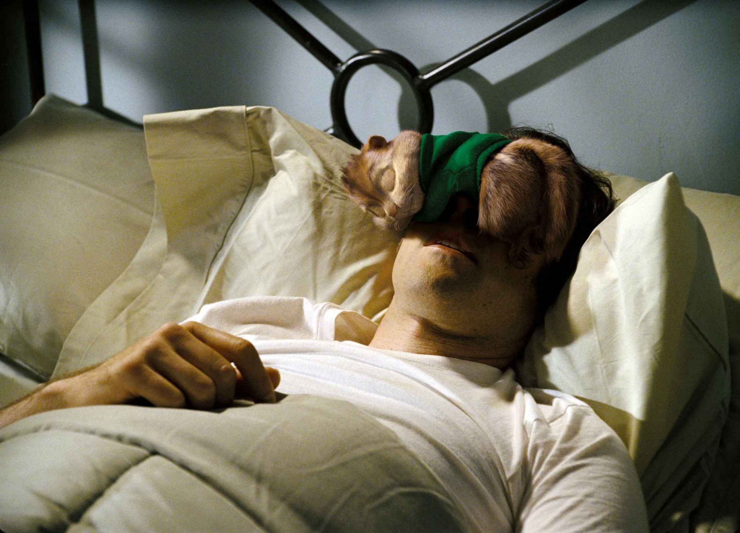 是20世纪福克斯出品,蒂姆·希尔执导的福克斯鼠来宝动画电影系列的第