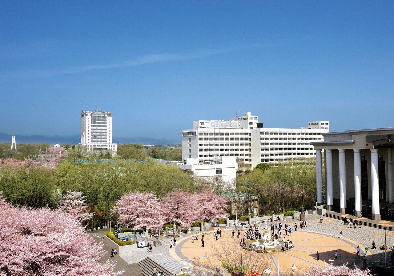 soka university