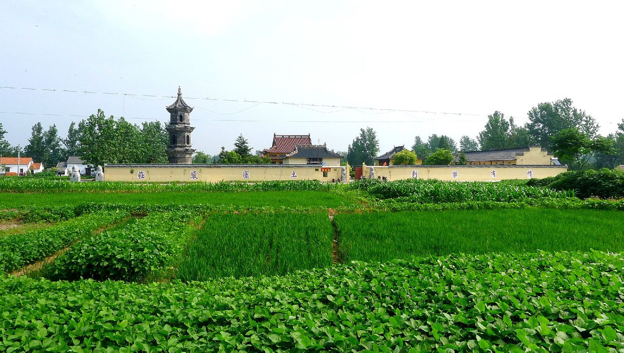 data-lemmaid="136372">建湖县 /a>辛庄乡宝塔村朦胧庄北, a target="