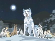 银牙传说 百度百科