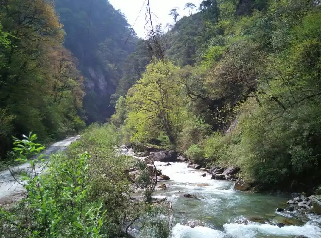  p data-id="gn5k4pj90o">大雪峰位于四川省芦山县大川镇境内,属青衣