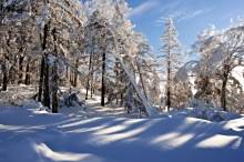 林海雪原景区 百度百科