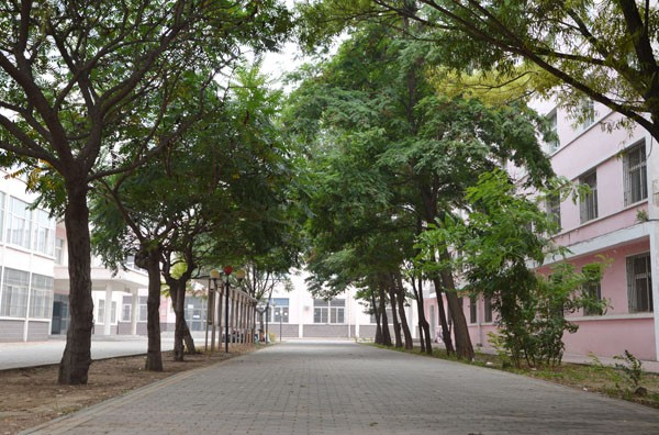  p>朝阳市第三高级中学始建于1985年,原名朝阳市龙城区高级中学,1996