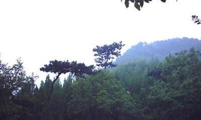  p data-id="gnwug7bo1h">松林公园位于大庆市杜尔伯特新店林场,距