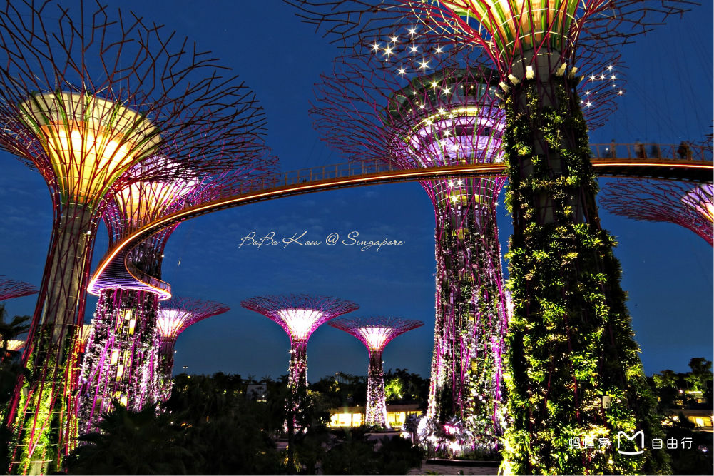 新加坡滨海花园