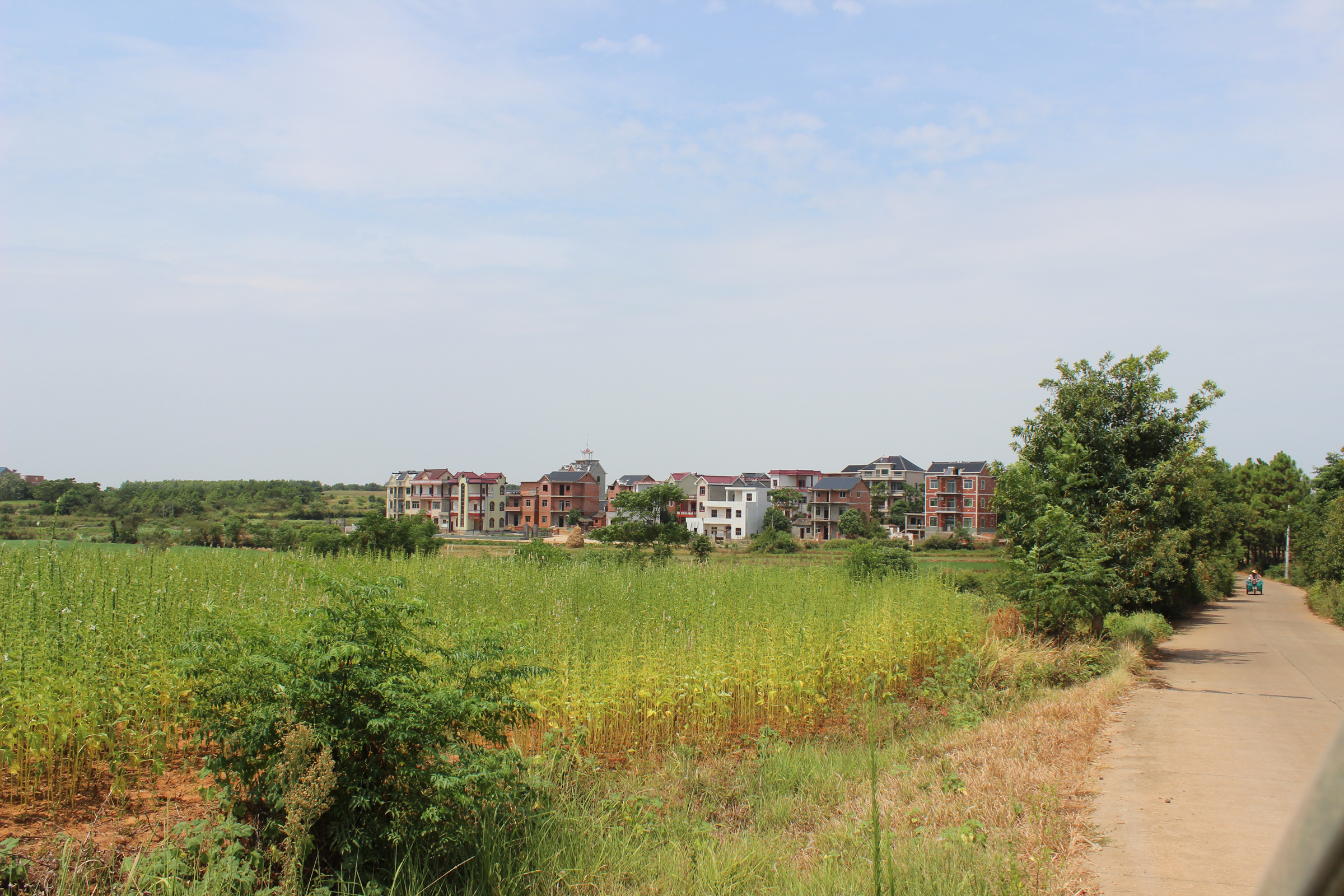 鄱阳县珠湖乡高椅墩村