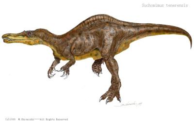 脊饰龙(cristatusaurus)