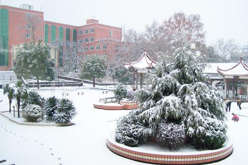 曼妙雪景