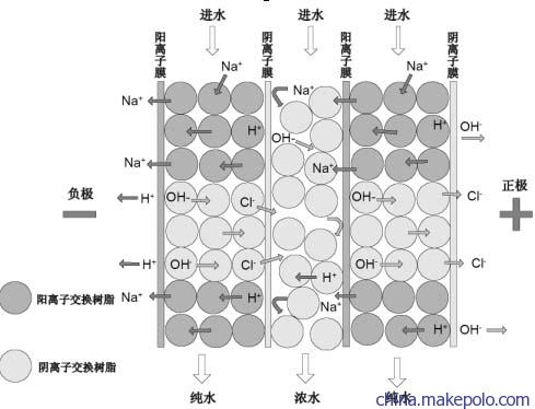 阴离子交换