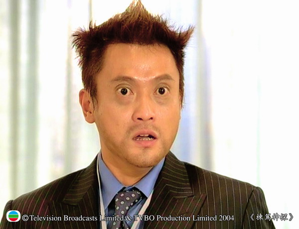 《栋笃神探 i>(to catch the uncatchable) /i>》是25集中国香港电视