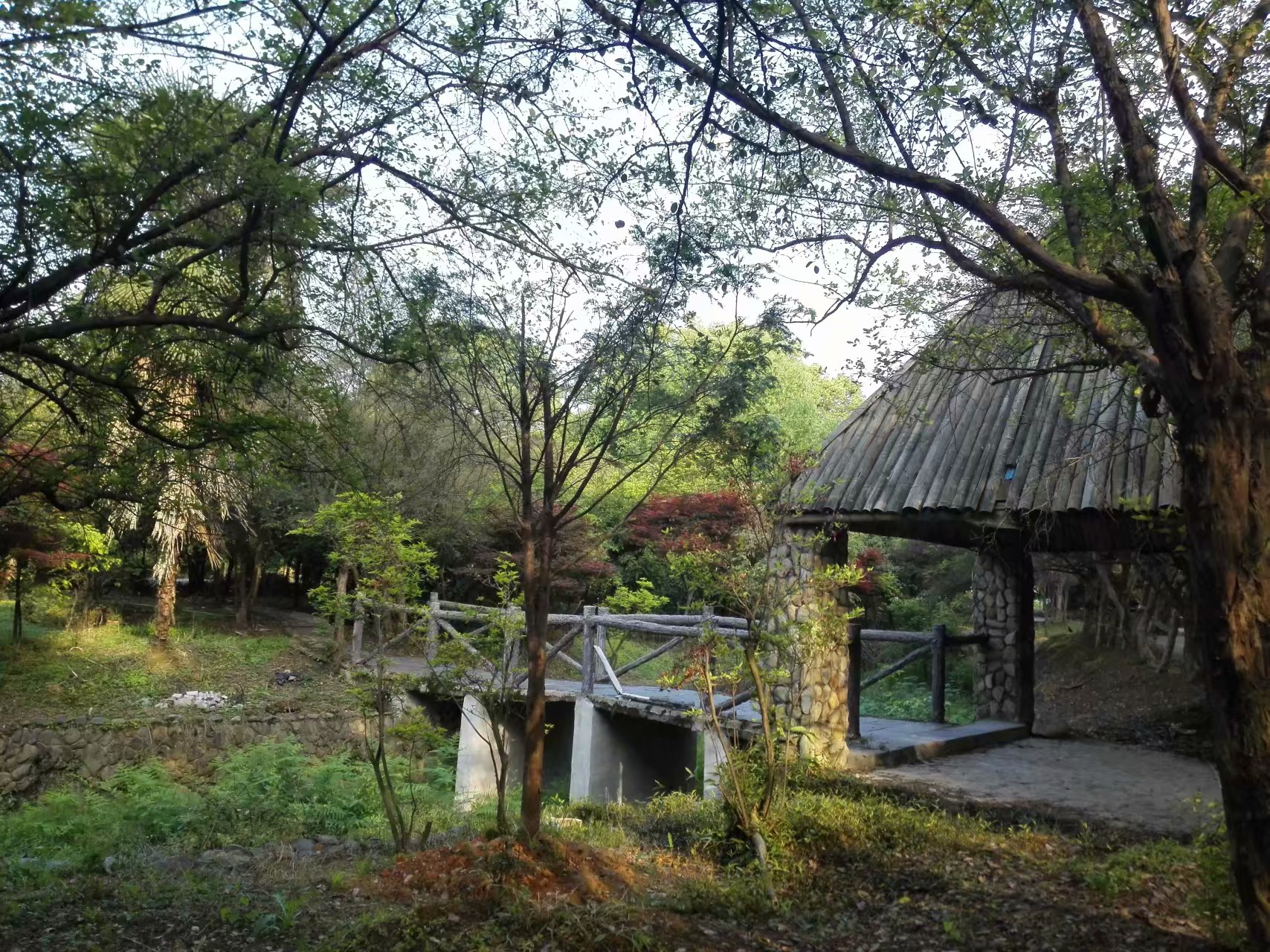 景德镇得雨生态园