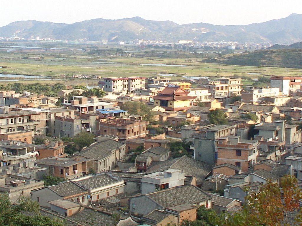 洞头村