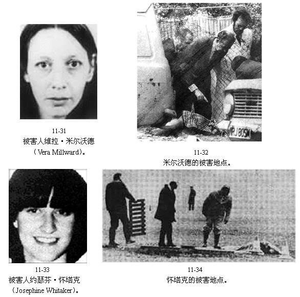 皮特·威廉-撒特克里夫