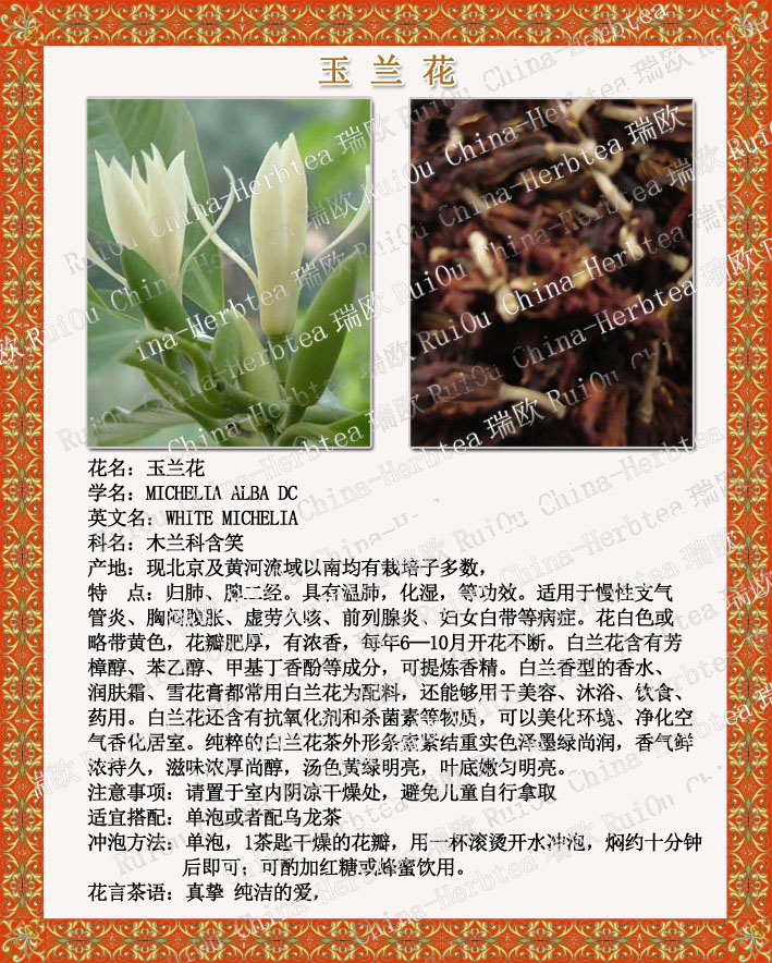 白玉兰花茶