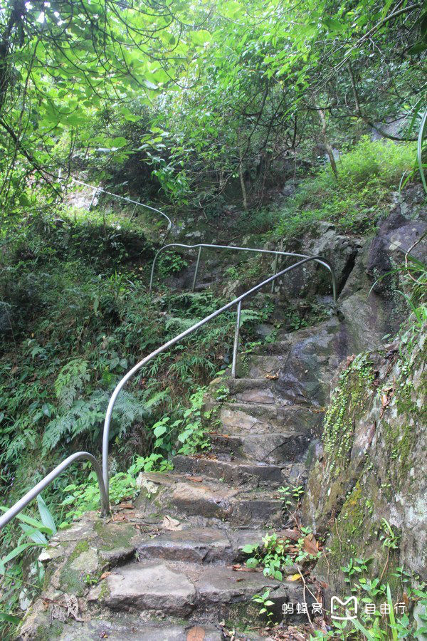  p>大帽山位于福建省龙海市白水镇,海拔794米,系闽南四大名山之一.