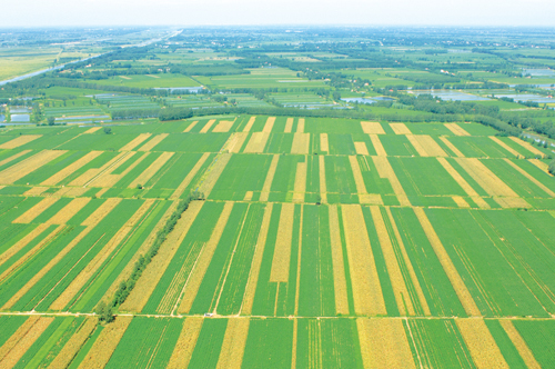  p>鄱阳湖平原,又称豫章平原,鄱阳湖盆地,是南昌盆地的重要部分.