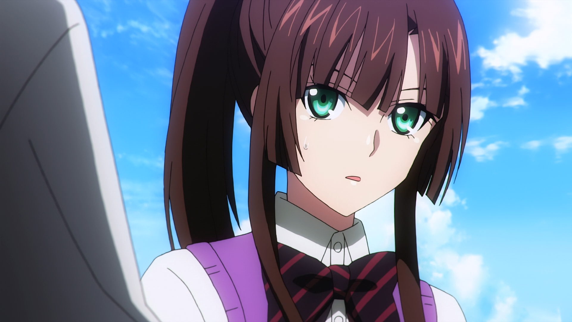 轻小说《 a target="_blank" href="/item/噬血狂袭/75213" data