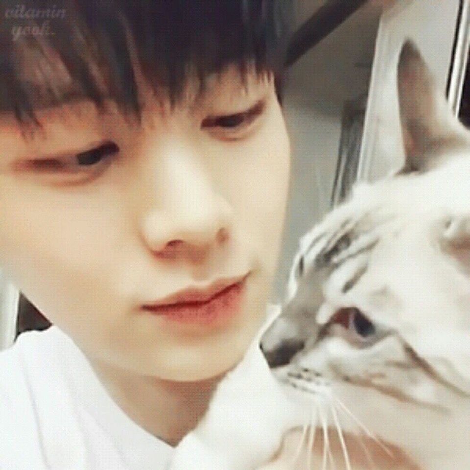  p>陆星材 i>(         ,yook sung jae) /i>,1995年5月2日出生于韩国